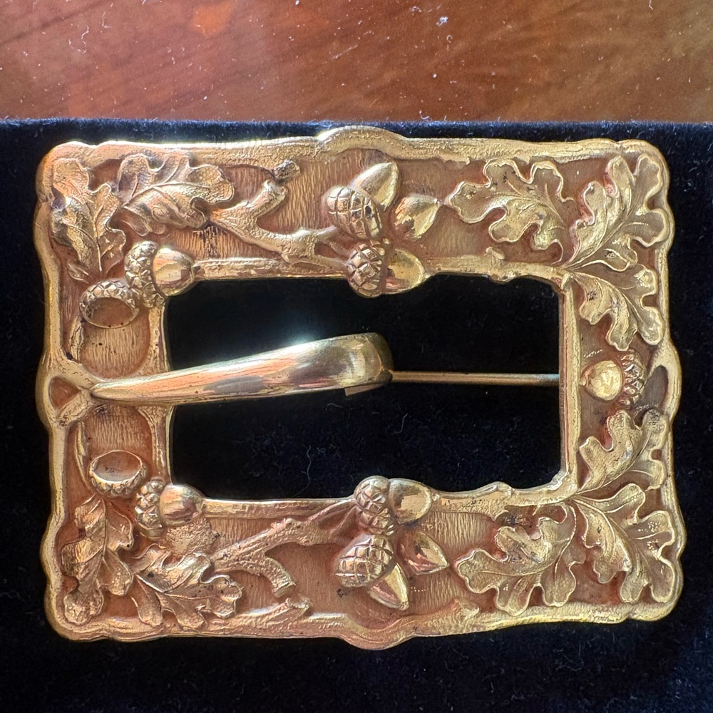 An Antique Brass leaves 🍁 and Acorns adorned Brooch and Sash pin.